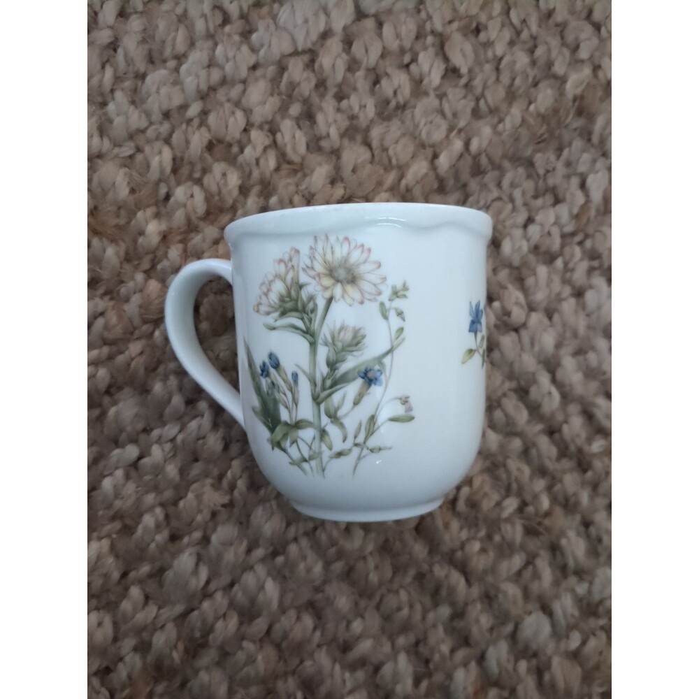 Vintage Noritake GOURMET GARDEN Mug Silphium Made in Sri Lanka GREAT CONDITION